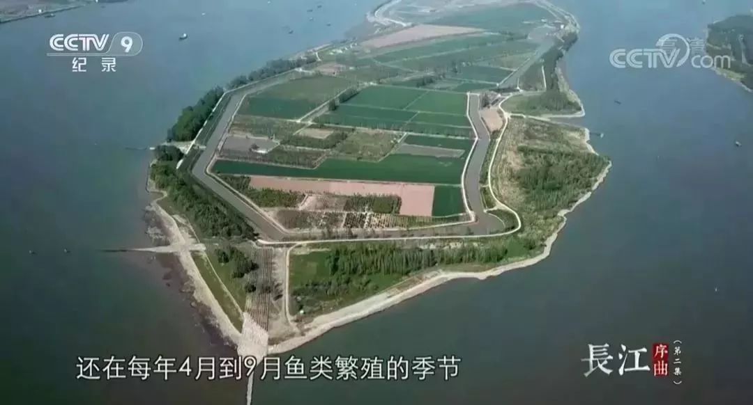 安貝斯<a href=http://www.zvgh.cn target=_blank class=infotextkey>控制臺</a>