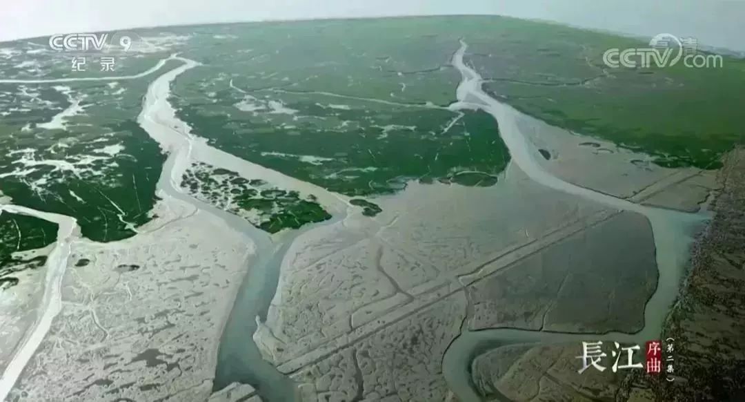 安貝斯<a href=http://www.zvgh.cn target=_blank class=infotextkey>控制臺</a>