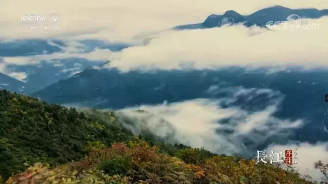 安貝斯<a href=http://www.zvgh.cn target=_blank class=infotextkey>控制臺</a>